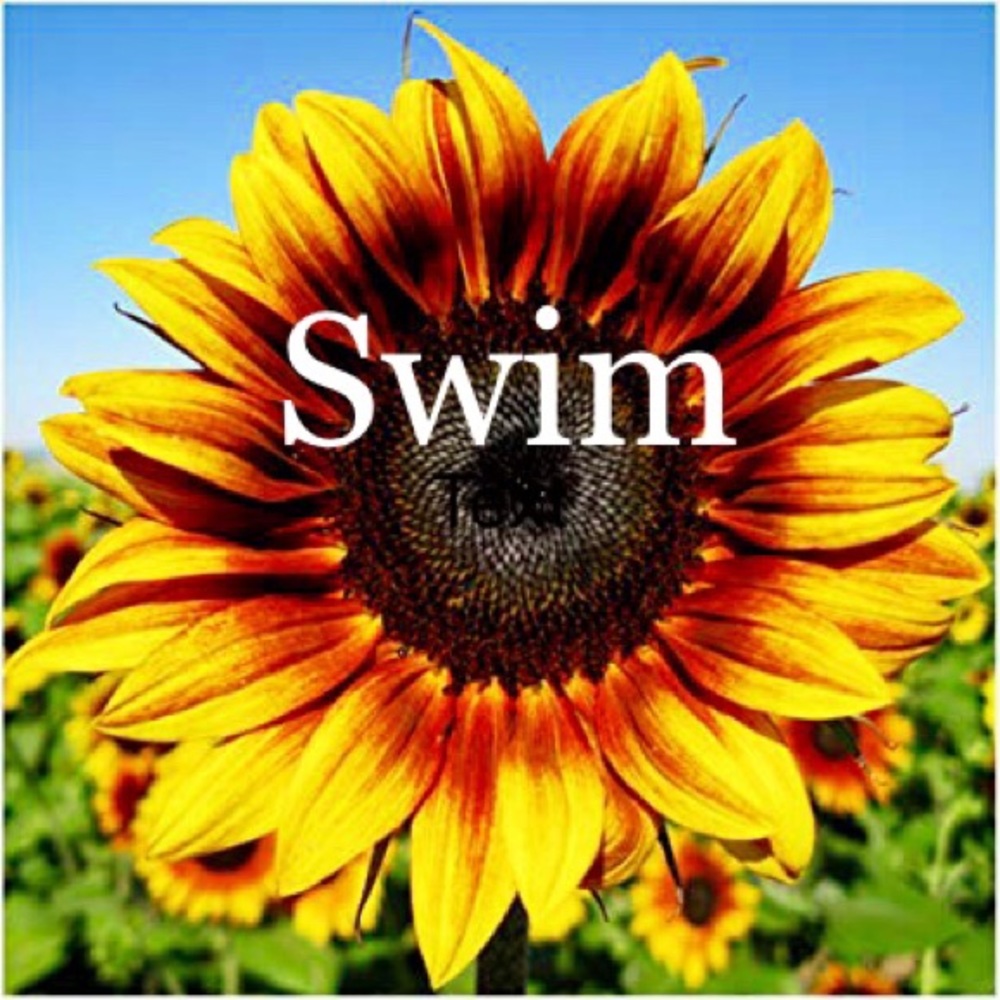 Swim